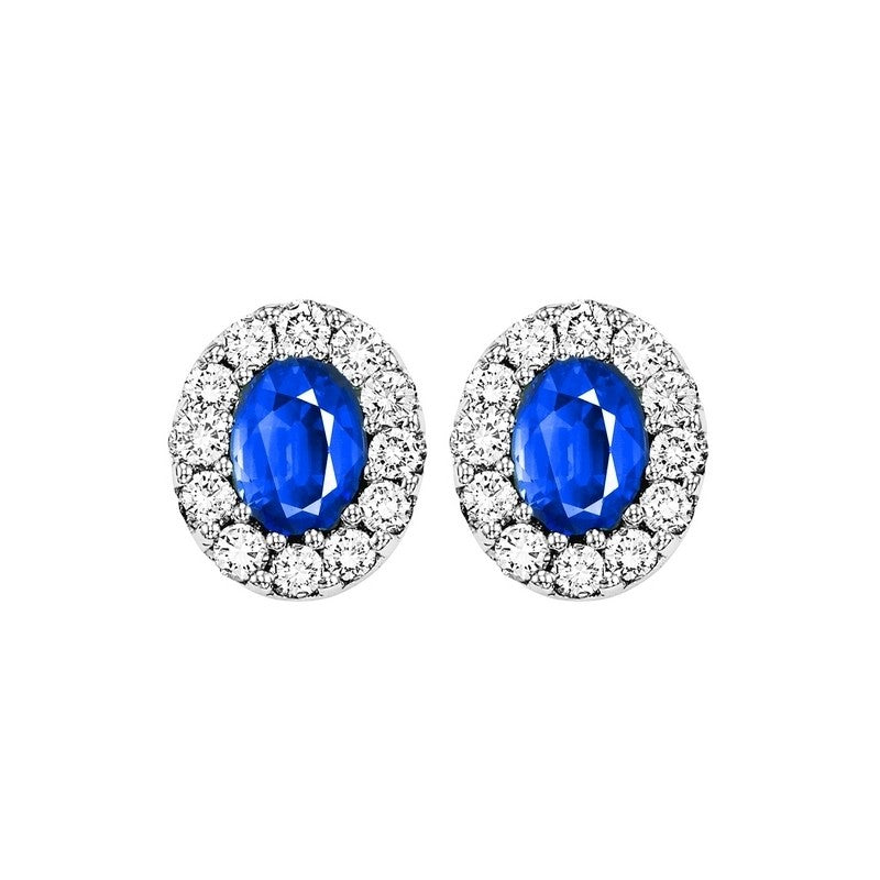 14Kt White Gold Diamond (1/4Ctw) & Sapphire (1/3 Ctw) Earring